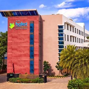 Hotel Halez